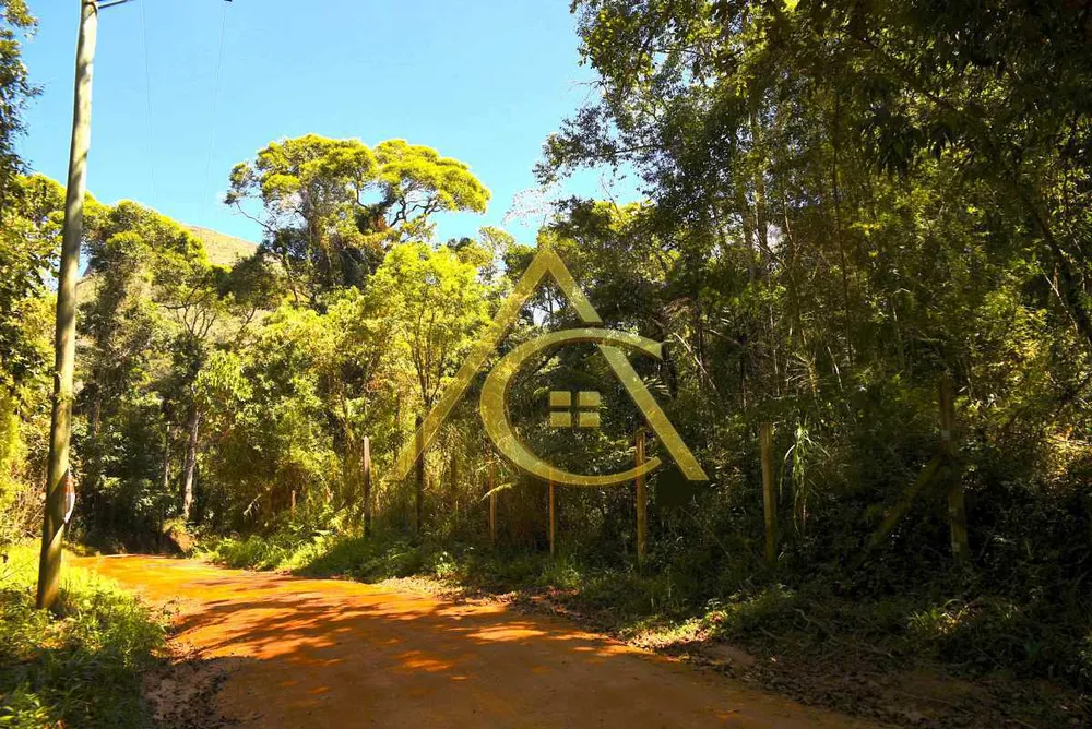 Terreno, 9 hectares - Foto 3