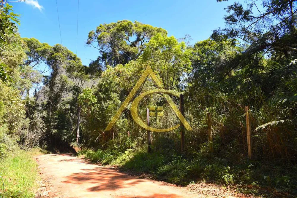 Terreno, 9 hectares - Foto 6
