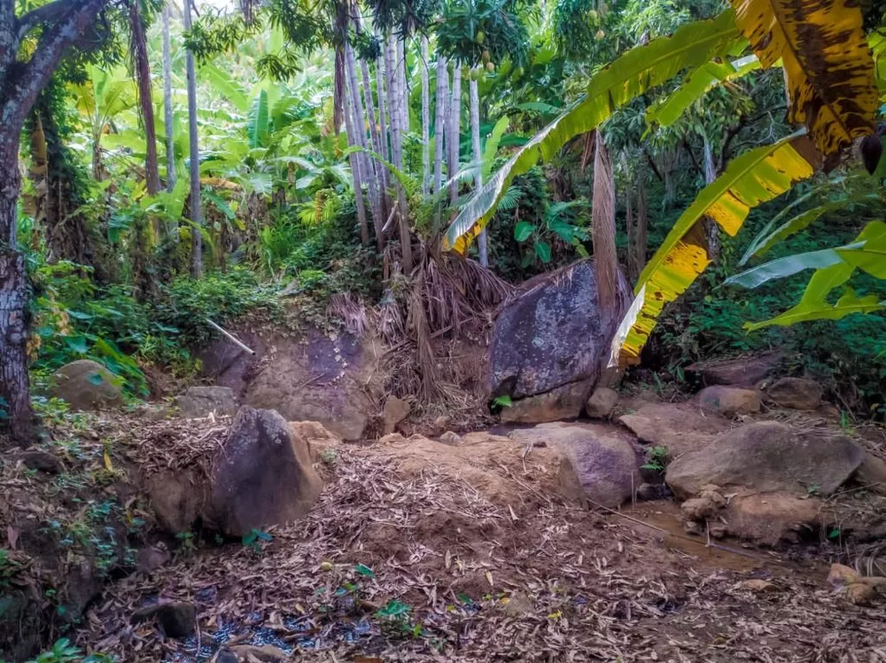 Terreno à venda, 180000m² - Foto 4