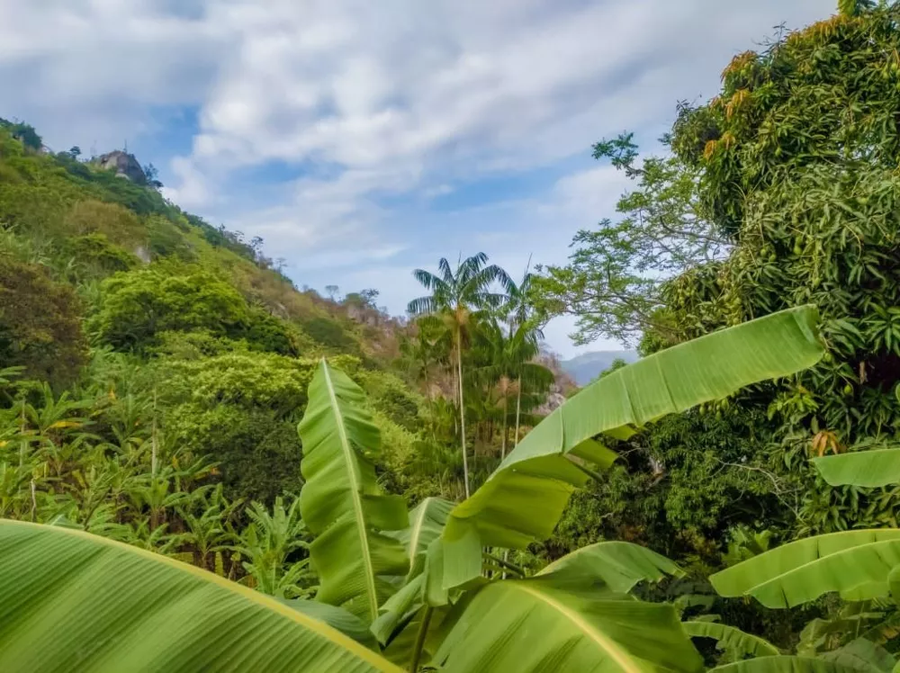 Terreno à venda, 180000m² - Foto 3