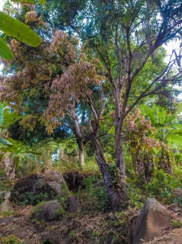 Terreno à venda, 180000m² - Foto 9