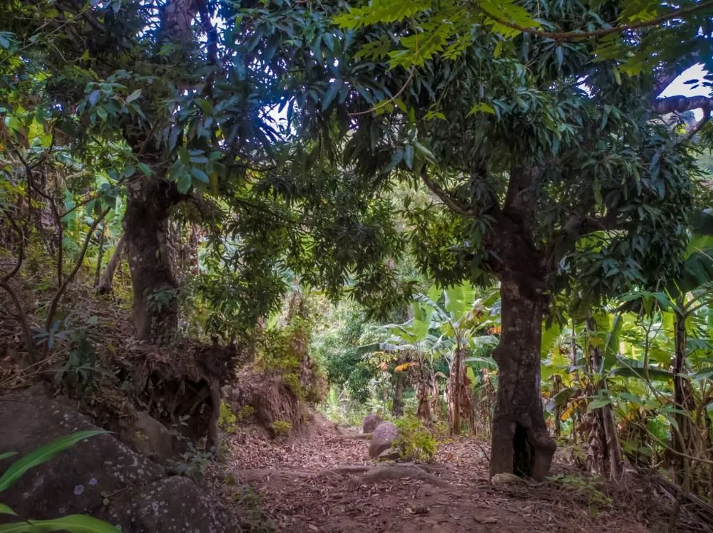 Terreno à venda, 180000m² - Foto 8