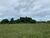Terreno, 3 hectares - Foto 3