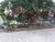Terreno, 1680 m² - Foto 3