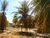 Terreno, 2613 m² - Foto 5