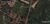 Terreno, 3 hectares - Foto 1
