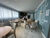 Apartamento, 2 quartos, 69 m² - Foto 25