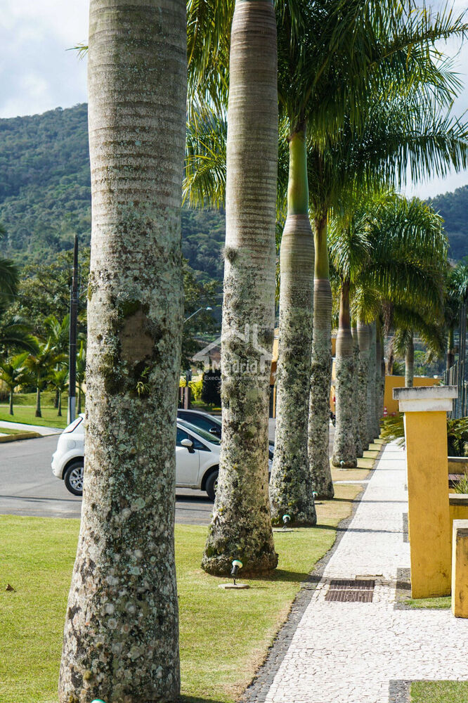 Terreno, 1130 m² - Foto 6