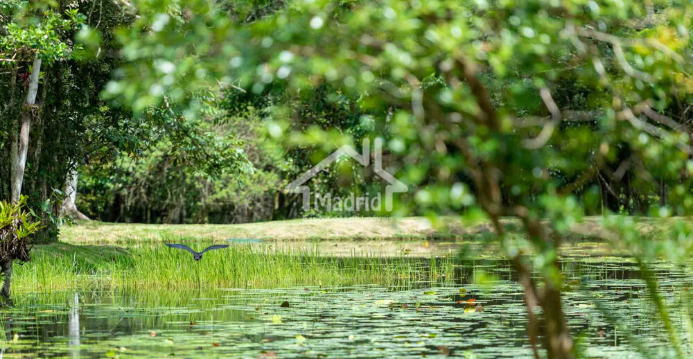 Terreno, 1046 m² - Foto 13