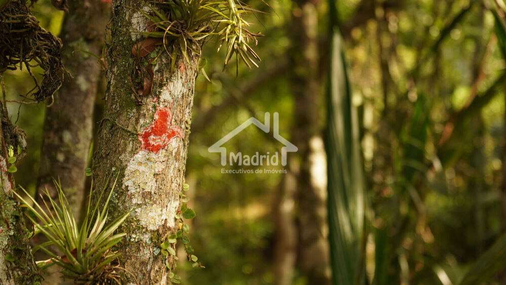 Terreno, 1046 m² - Foto 17