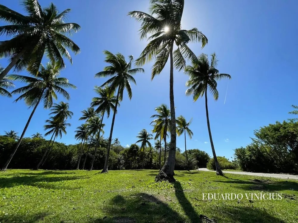 Terreno, 1004 m² - Foto 1