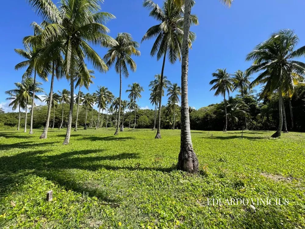 Terreno, 1004 m² - Foto 8