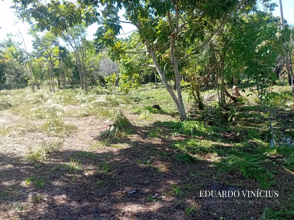 Terreno, 2500 m² - Foto 3