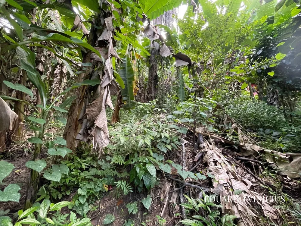 Terreno, 560 m² - Foto 1
