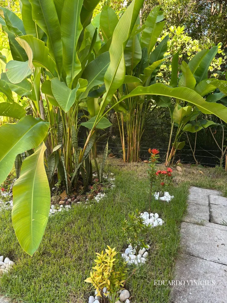 Casa, 4 quartos, 85 m² - Foto 4