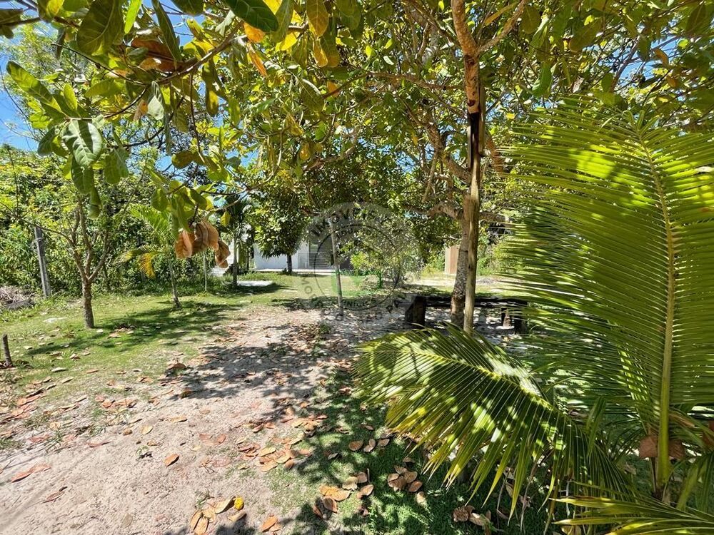 Casa à venda com 5 quartos, 105m² - Foto 12