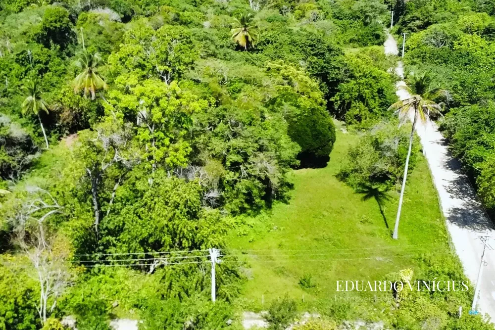 Terreno, 4020 m² - Foto 4