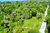 Terreno, 4020 m² - Foto 1