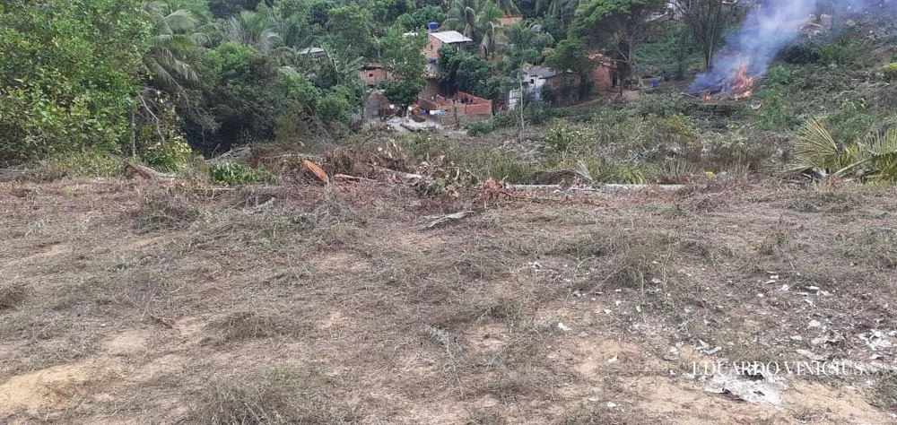 Terreno, 6400 m² - Foto 4