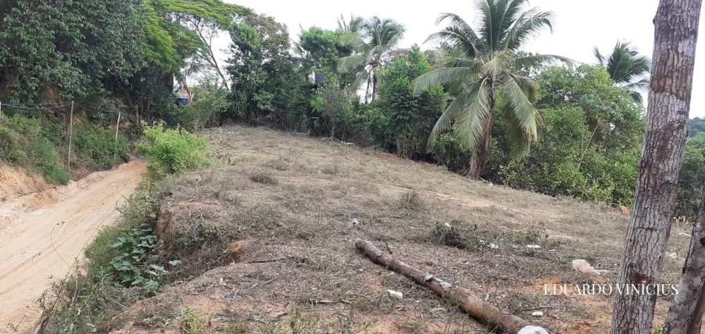 Terreno, 6400 m² - Foto 3