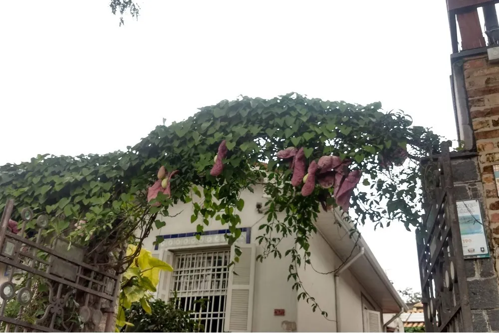 Casa, 3 quartos, 283 m² - Foto 2