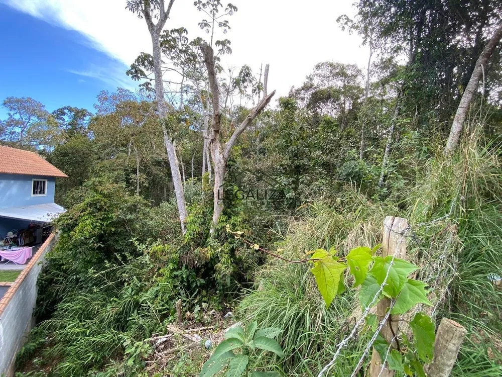 Terreno - Foto 2
