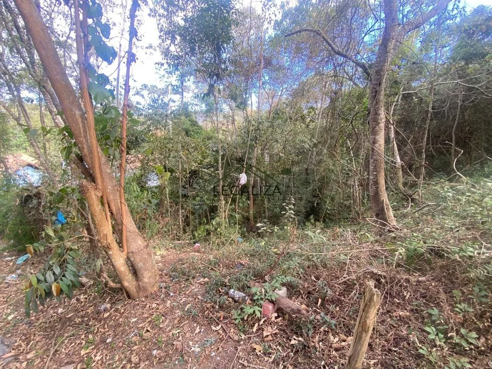 Terreno - Foto 6