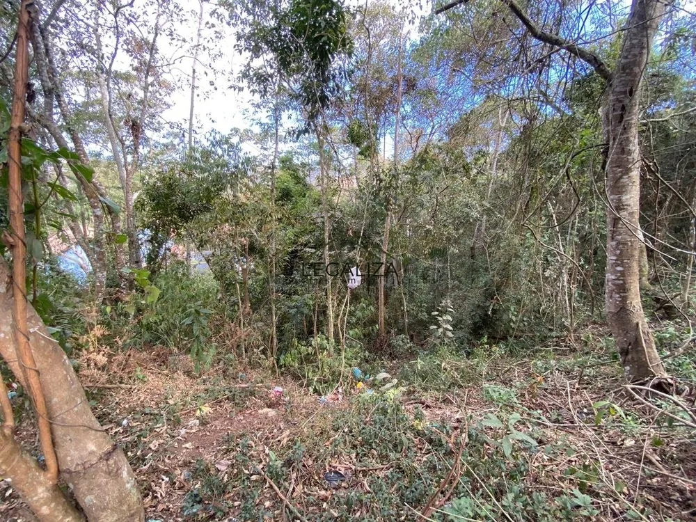 Terreno - Foto 5