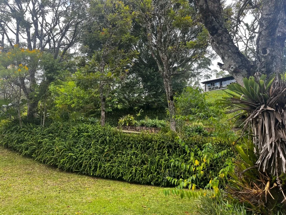 Casa, 3 quartos, 403 m² - Foto 59