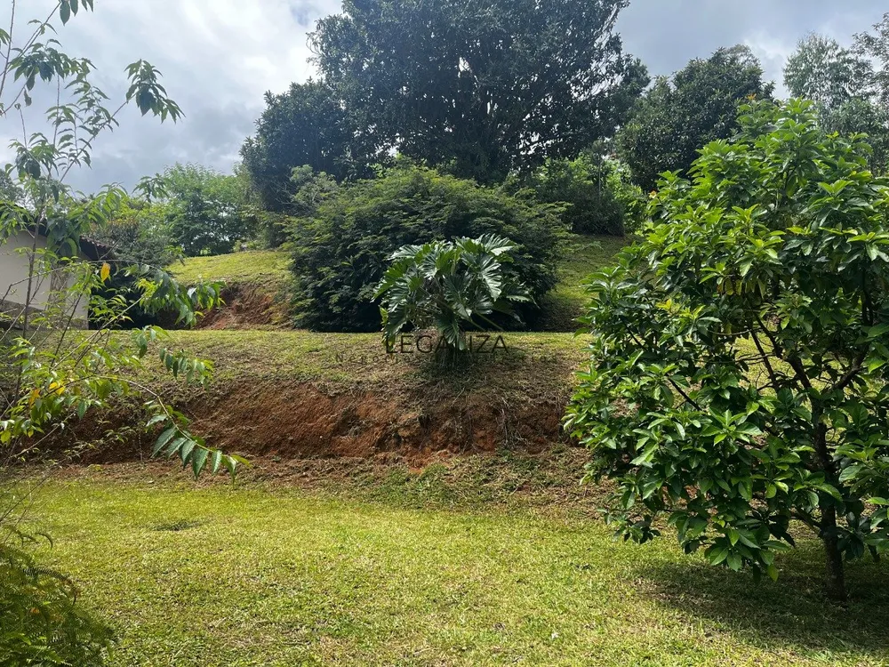 Casa, 3 quartos, 403 m² - Foto 43