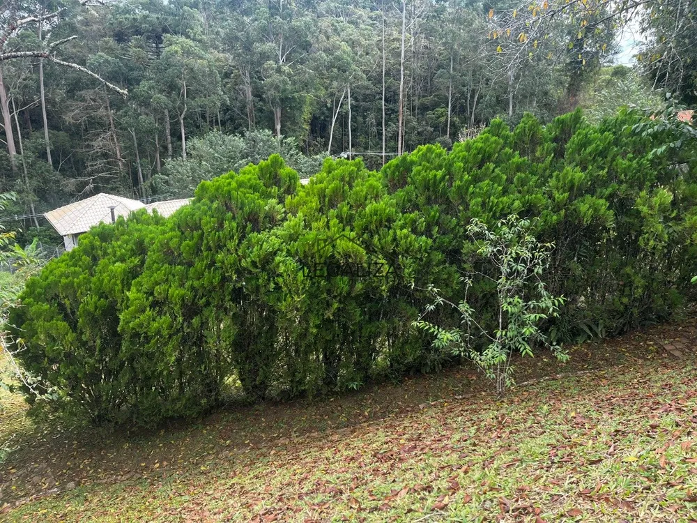 Casa, 3 quartos, 403 m² - Foto 54