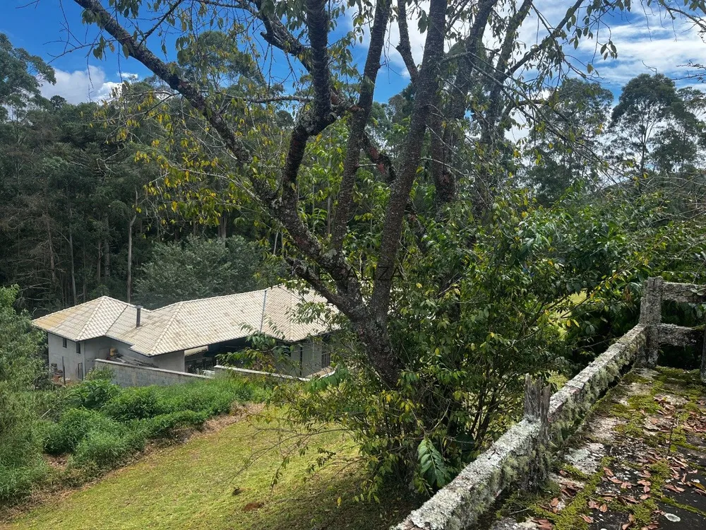 Casa, 3 quartos, 403 m² - Foto 51
