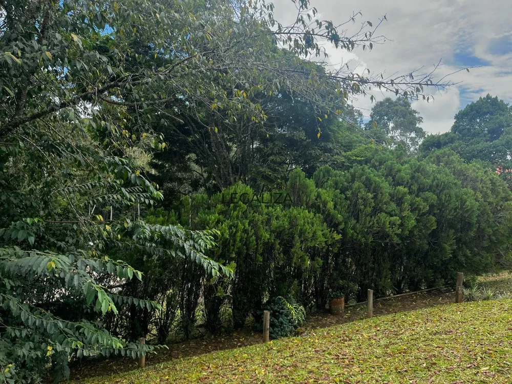 Casa, 3 quartos, 403 m² - Foto 62