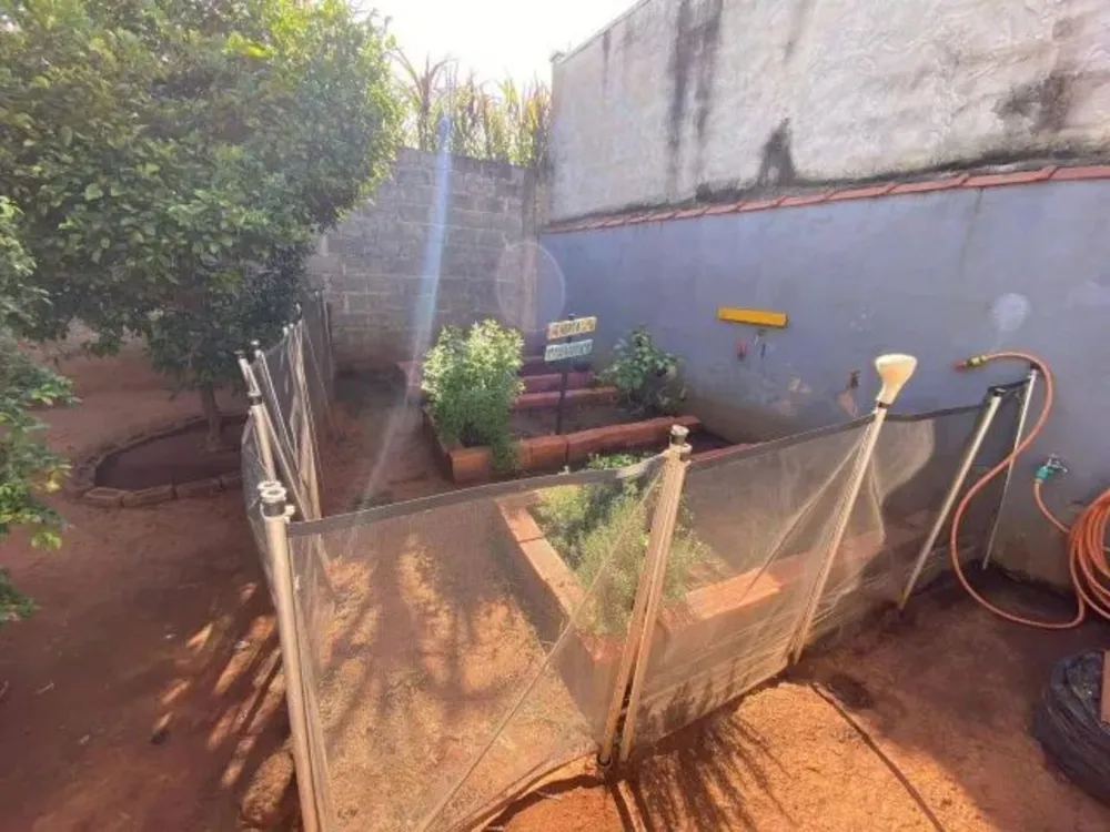 Chácara, 3 quartos - Foto 13