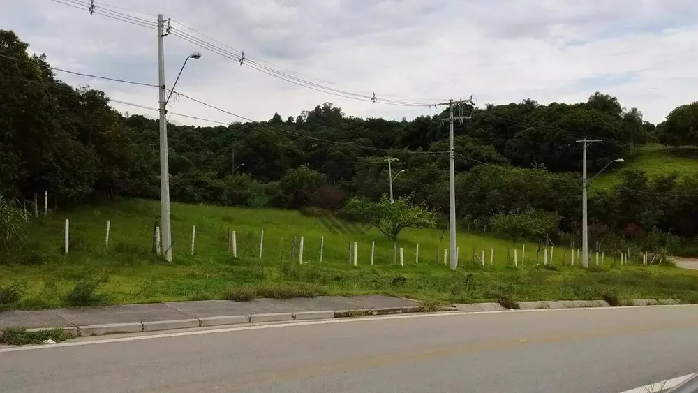 Terreno, 9 hectares - Foto 4