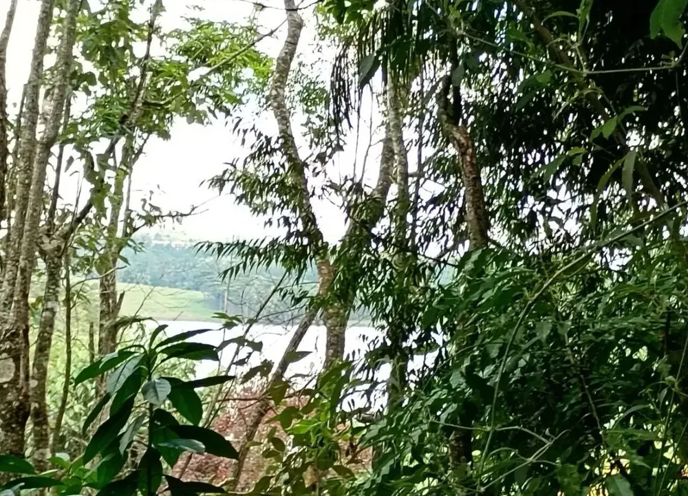 Chácara, 2 quartos, 3200 m² - Foto 10