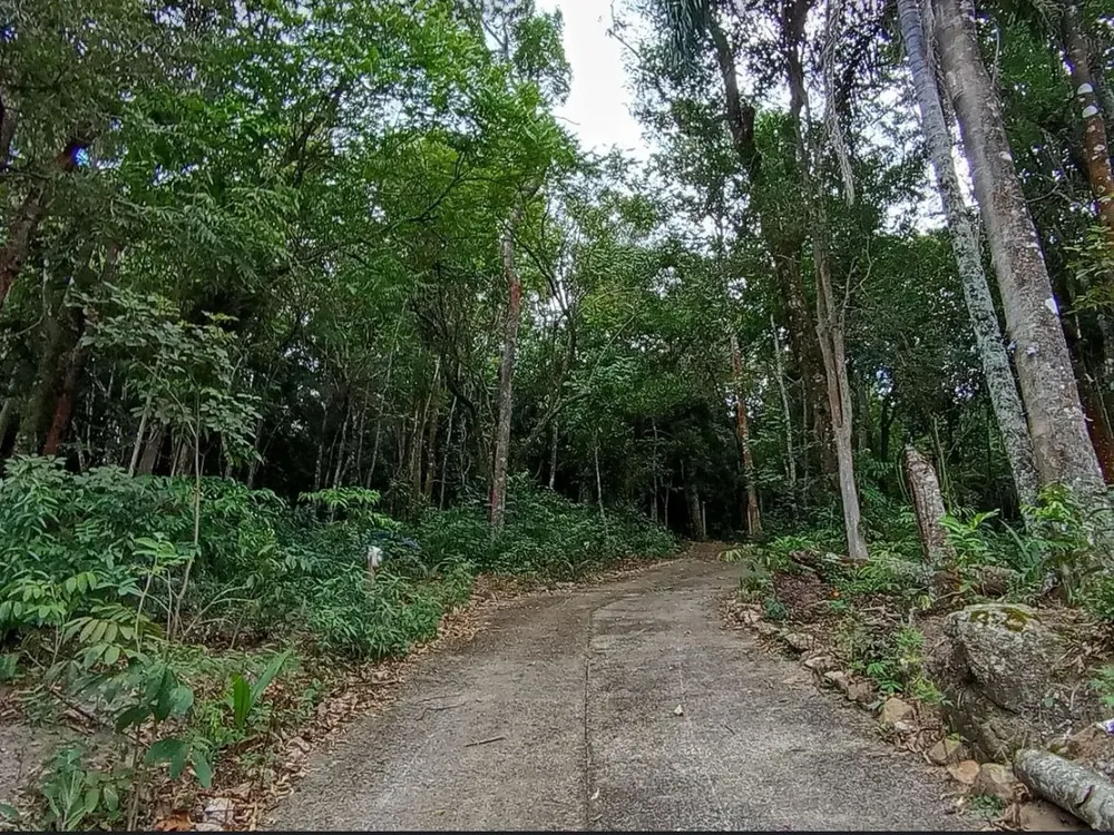 Chácara, 2 quartos, 3200 m² - Foto 12