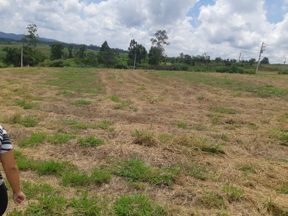 Terreno, 1032 m² - Foto 4