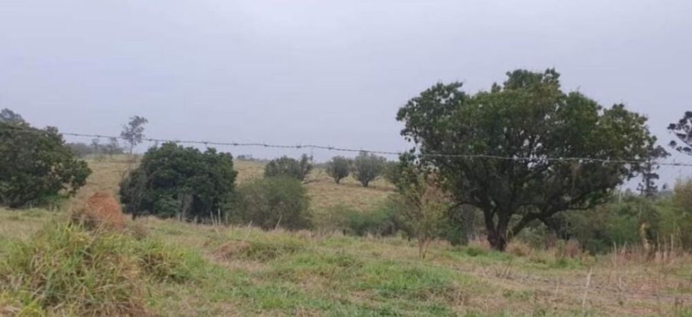 Terreno - Foto 1