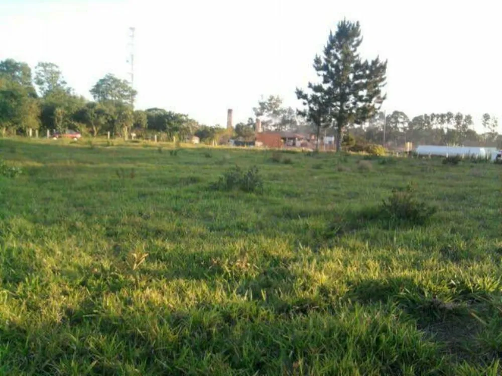 Terreno, 9 hectares - Foto 2