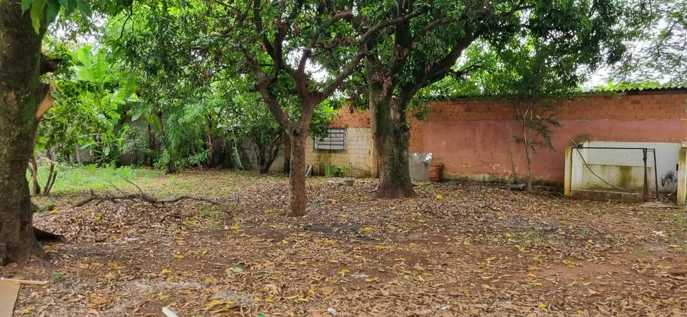 Terreno - Foto 2
