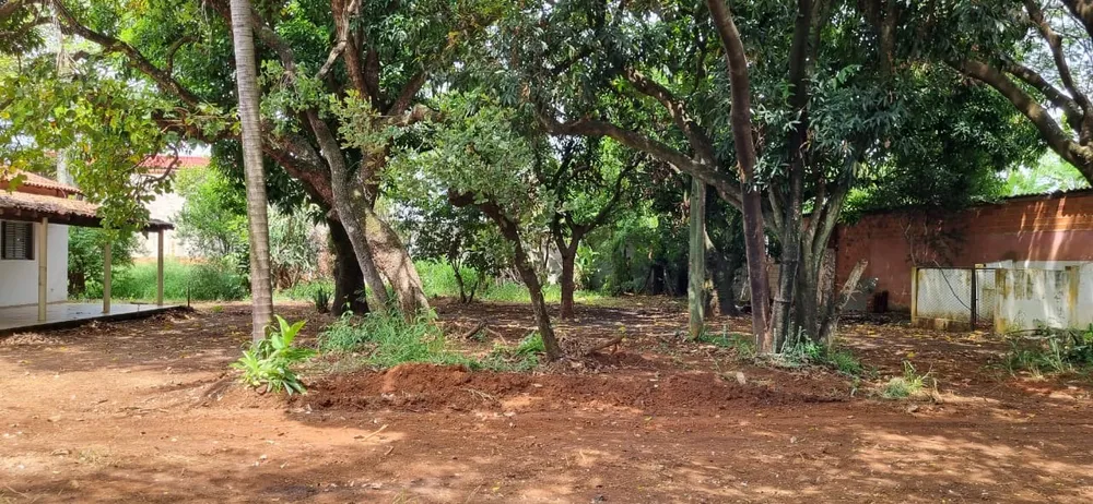 Terreno - Foto 3