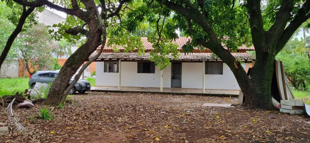 Terreno - Foto 4