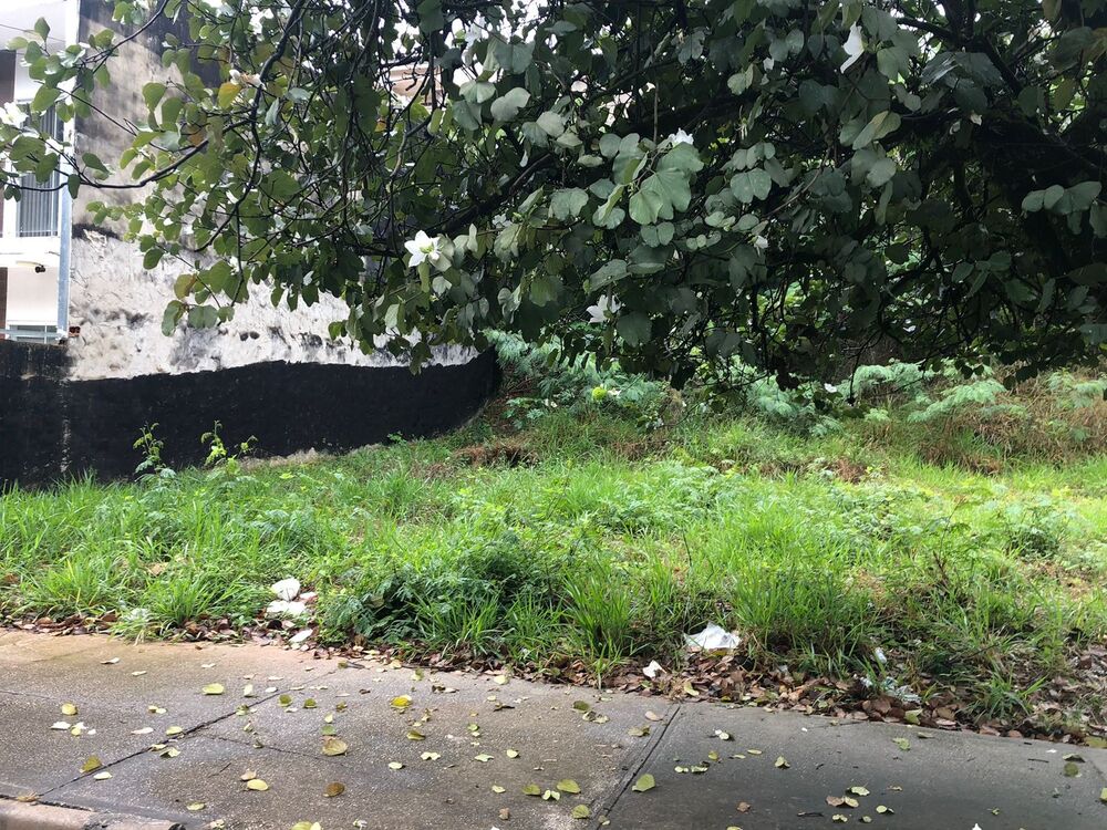 Loteamento e Condomínio, 450 m² - Foto 2