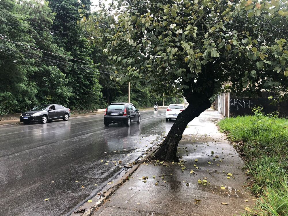 Loteamento e Condomínio, 450 m² - Foto 3