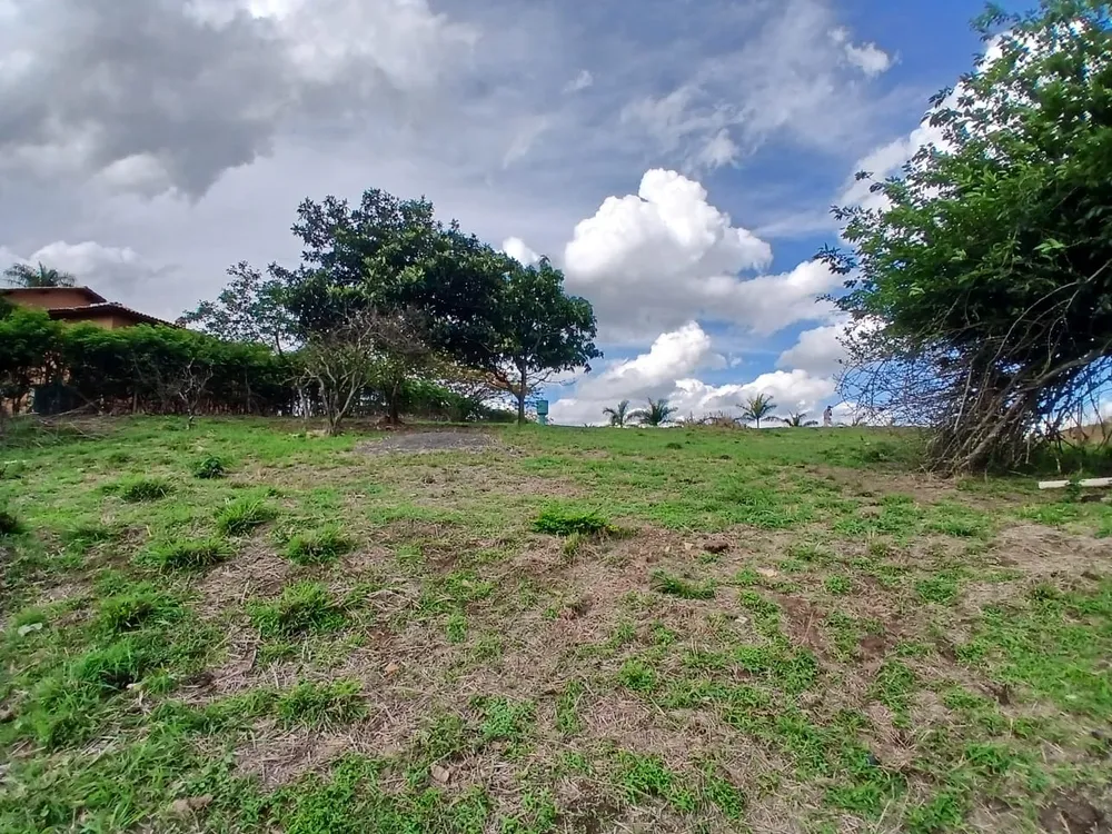 Terreno, 3700 m² - Foto 7