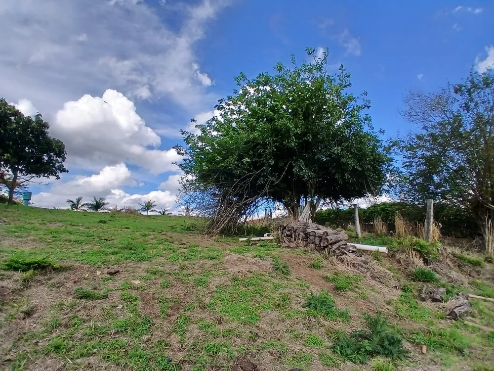 Terreno, 3700 m² - Foto 1