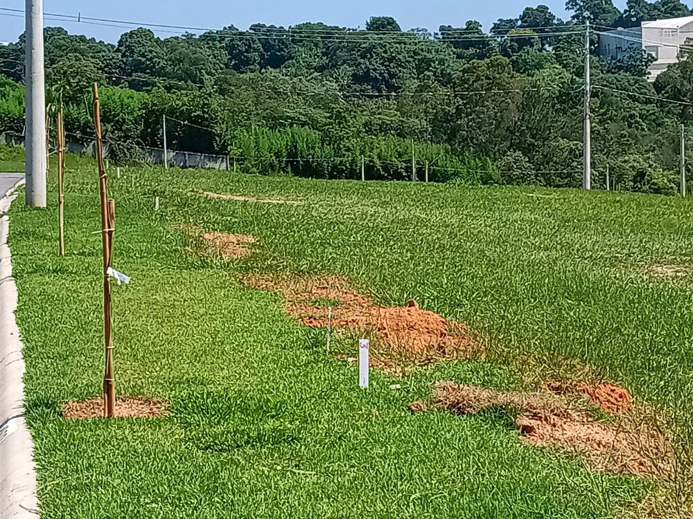 Terreno à venda, 250m² - Foto 4