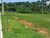 Terreno, 250 m² - Foto 4