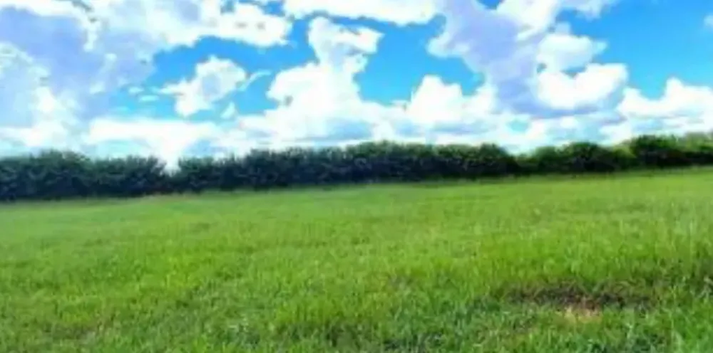 Terreno, 500 m² - Foto 12